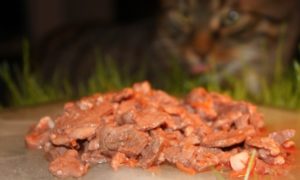 Kori-Kusa-Katzenfutter-Bestes-Katzenfutter